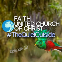 #30 The Quiet Outdoors