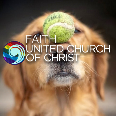 Faith Ucc Dunedin