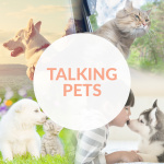 Lifestyle Pets Podcast