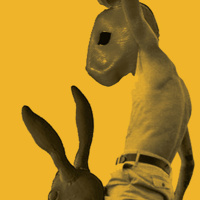 Hugo Rifkind - Rabbits