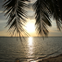 QuanTITable (P-Rock 2016)