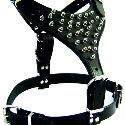 Cheaper Than Therapy