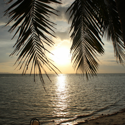 Cheaper Than Therapy