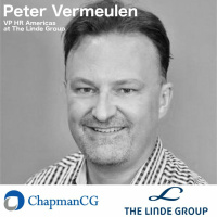 The Linde Group, Peter Vermeulen - Measuring Diversity  Inclusion Efforts (Matt Chapman)