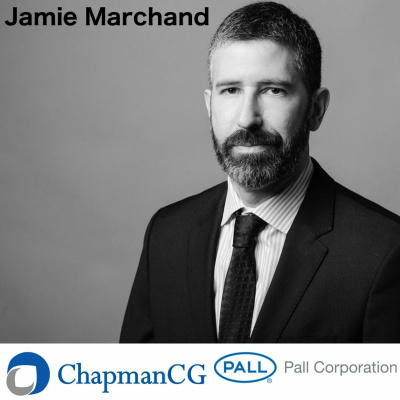 Chapmancg Global Hr Interviews