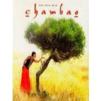 Rumba instrumental chill