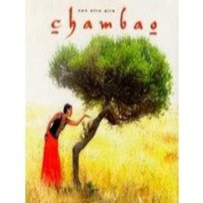 Música Chill Out  Bosanova