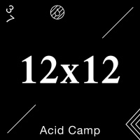 Acid Camp Vol. 37 - 12x12