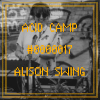 Acid Camp Vol. 17 - Alison Swing