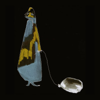 Shingo Suwa - Seishin (ACR017) [PREVIEWS]