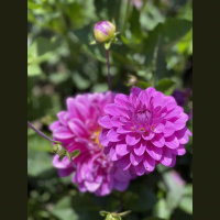 Cultivating Wonder and Finding Hope