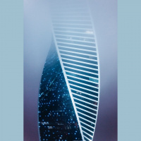 Nutrigenomic Testing for Optimal Health