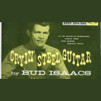 Steel Guitar in Indianapolis