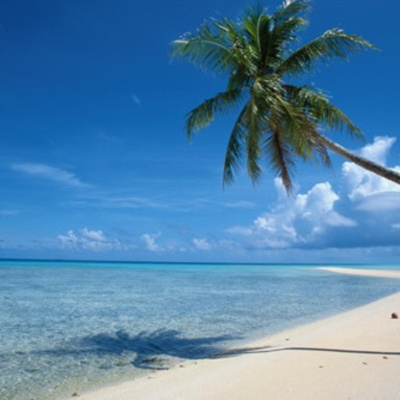 Steve Aries Totallycast