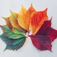 Gods Work in the Seasons of Life