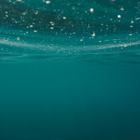 The Ordinances of the Church