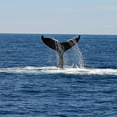 Bethany Community Fellowship Podcast