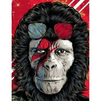 Ape List #5 – Grrrl Power !