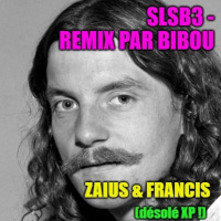 Désolé les fans de Francis Cabrel (bonus SLSB3)