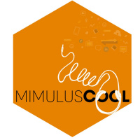 Email Marketing, intervista a Maura Cannaviello.