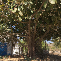 Season 2: 07–Samanvay: coming together with a shared purpose