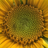 Season 2: 08—Nucleus