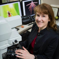 Audio Insights with Dr. Morice: Bobbi Pritt, M.D. (Part 1)