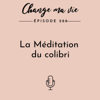 (288) La Méditation du colibri
