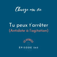 (265) Tu peux t’arrêter (Antidote à l’agitation)