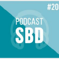 N200 - Aspectos psicossociais do DM1 e 2 - Diretriz SBD 2022 - Fani Malerbi