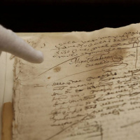 Cuando se pierde el lenguaje