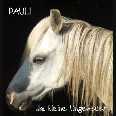 Pferdegeschichten: Pauli Das Kleine Ungeheuer