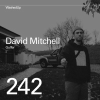 #242 - David Mitchell (Gulfer)