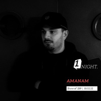 One Night by Amanam 219