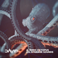 Davip - Mimic Octopus (Original Mix)