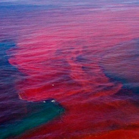 Lecturas menores (IV) – Maniobras de evasión y catástrofes solitarias