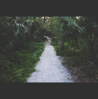 The Way and the Truth