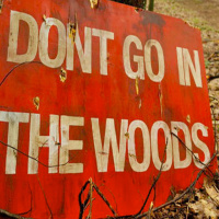 Épisode 50: Dans le bois! (24 novembre 2015)