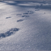 Nicht alles lässt sich erfüllen - Ein Update meines Lebens