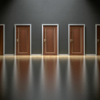 Adjusting to Change: Which Path Do You Take?