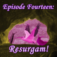 14 - Resurgam!