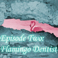 2 - Flamingo Dentist