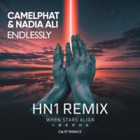 Camelphat - Endlessly (HN1 Remix) [FREE DOWNLOAD - VOCAL FILTERED LINK IN DESC/BIO)
