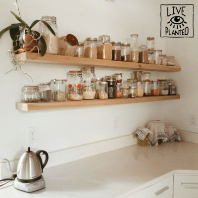 Live Planted- Practical Vegan Living