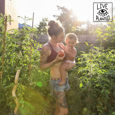 Live Planted- Practical Vegan Living