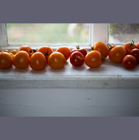 5 essential tasks to carry your garden through early fall