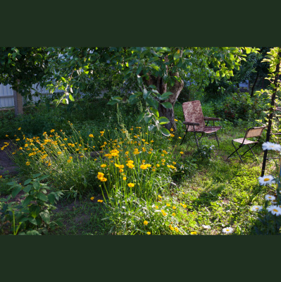 Vermont Garden Journal