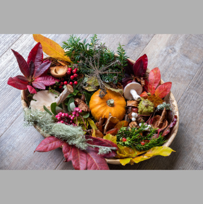 Vermont Garden Journal