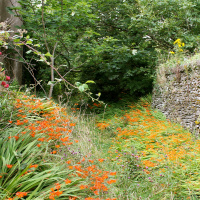 Der heimliche Garten (2/2): Der eingebildete Kranke