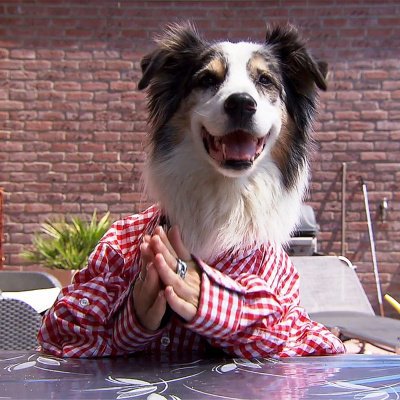 Kiraka - Kinderhörspiele Im Wdr